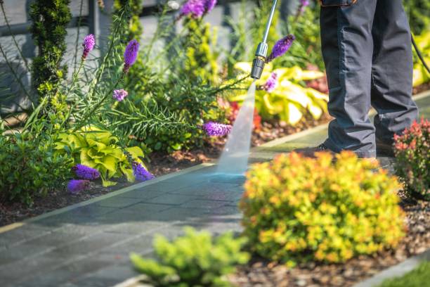Best Parking Lot and Garage Cleaning  in Spring Hill, FL