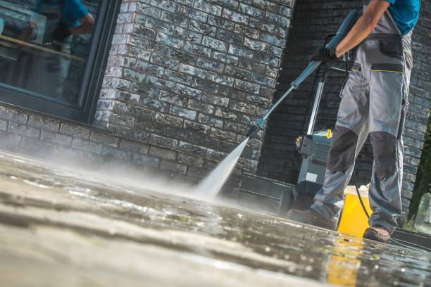 Best Driveway Pressure Washing  in Spring Hill, FL